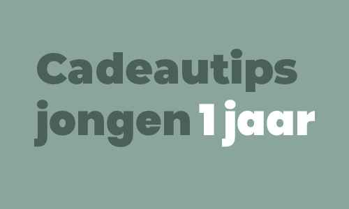 Cadeautips jongen 1 jaar