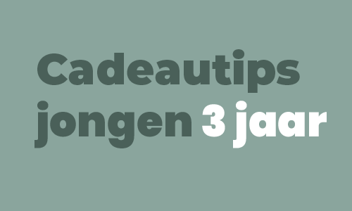 Cadeautips jongen 3 jaar