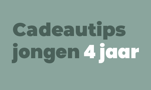 Cadeautips jongen 4 jaar