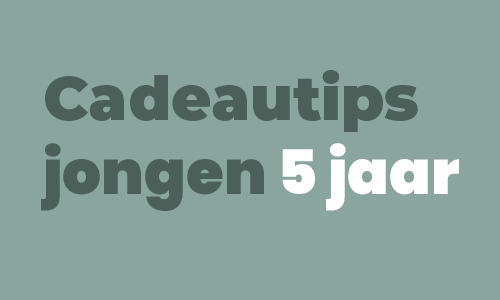 Cadeautips jongen 5 jaar